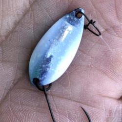 フィッシング サンクチュアリ 釣果