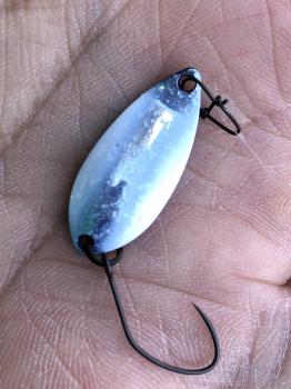 フィッシング サンクチュアリ 釣果