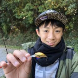 フィッシング サンクチュアリ 釣果