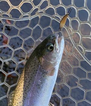 フィッシング サンクチュアリ 釣果