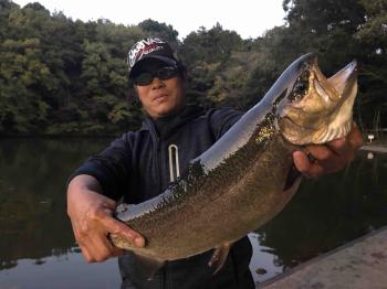 フィッシング サンクチュアリ 釣果