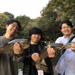 フィッシング サンクチュアリ 釣果