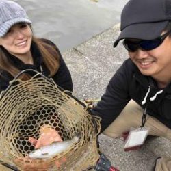 フィッシング サンクチュアリ 釣果