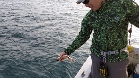 遊漁船 ニライカナイ 釣果