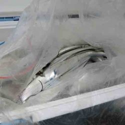 遊漁船 セトマリン 釣果