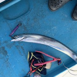 淡路島・洲本沖タチウオジギングレポート【メガバス（Megabass）スラッシュビートシリーズ　インプレッション】