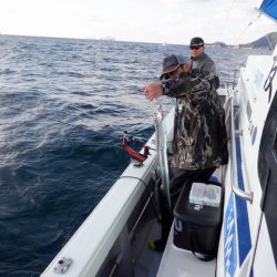 遊漁船 遊友 釣果