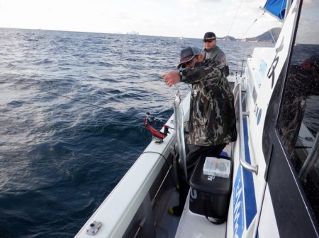 遊漁船 遊友 釣果