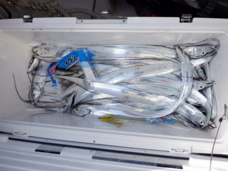 遊漁船 遊友 釣果