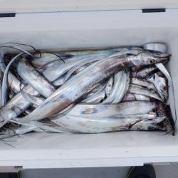 遊漁船 遊友 釣果