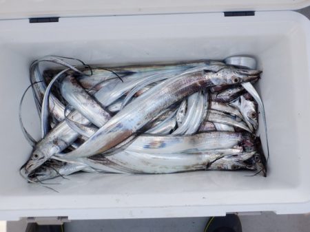 遊漁船 遊友 釣果