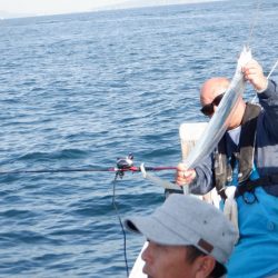 遊漁船 遊友 釣果