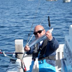 遊漁船 遊友 釣果