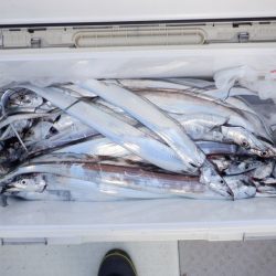 遊漁船 遊友 釣果