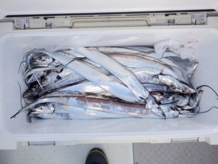 遊漁船 遊友 釣果