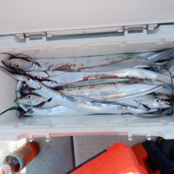 遊漁船 遊友 釣果