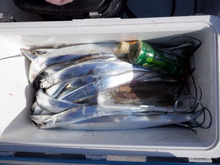 遊漁船 遊友 釣果