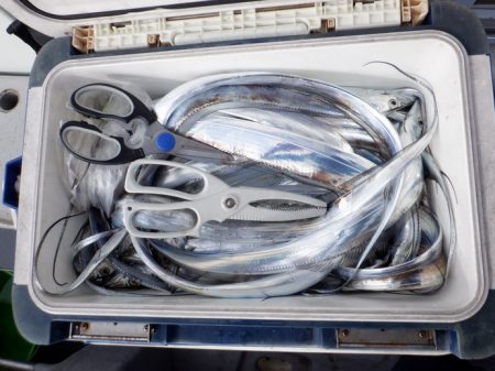 遊漁船 遊友 釣果