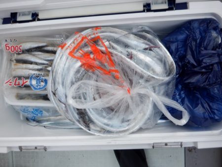 遊漁船 遊友 釣果