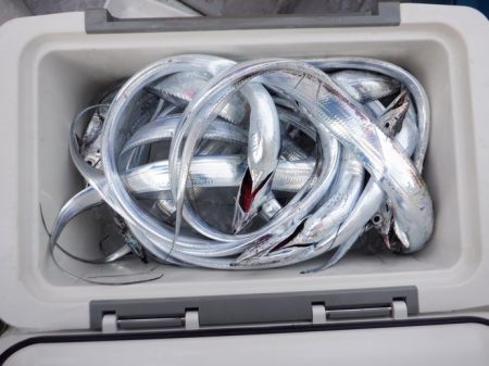 遊漁船 遊友 釣果