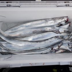 遊漁船 遊友 釣果