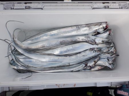 遊漁船 遊友 釣果