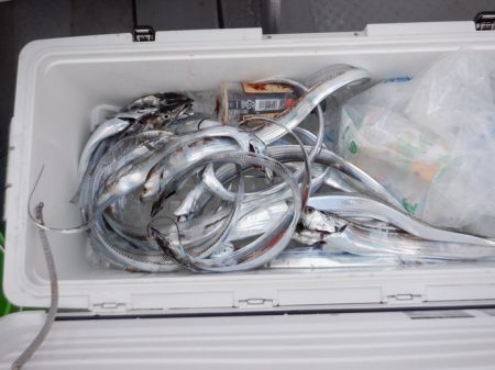 遊漁船 遊友 釣果