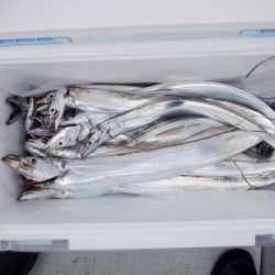 遊漁船 遊友 釣果