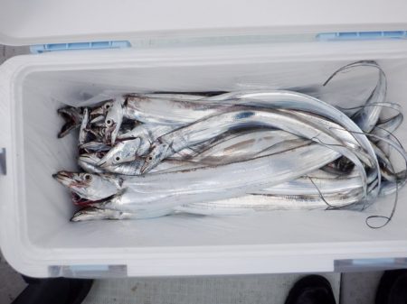 遊漁船 遊友 釣果