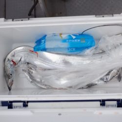 遊漁船 遊友 釣果