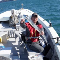 遊漁船 遊友 釣果