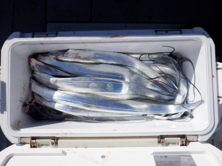 遊漁船 遊友 釣果