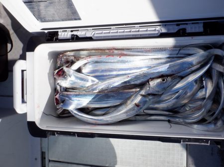 遊漁船 遊友 釣果