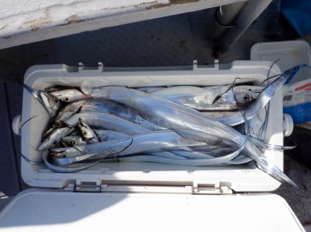 遊漁船 遊友 釣果