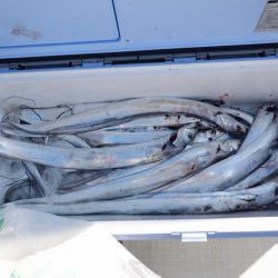 遊漁船 遊友 釣果