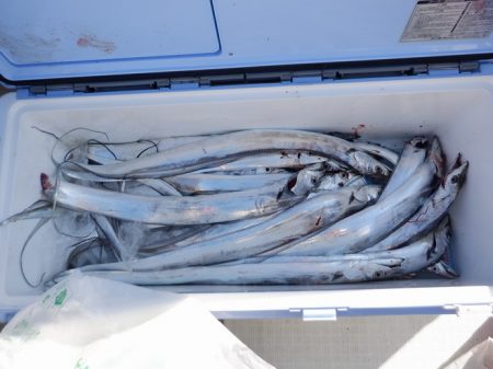 遊漁船 遊友 釣果