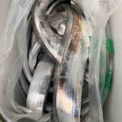 さんさん丸 釣果