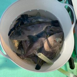 さんさん丸 釣果