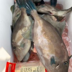 さんさん丸 釣果