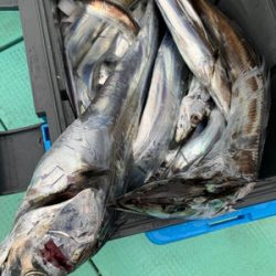 さんさん丸 釣果