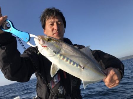 たいし丸 釣果
