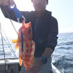 たいし丸 釣果