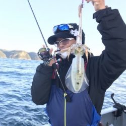 たいし丸 釣果