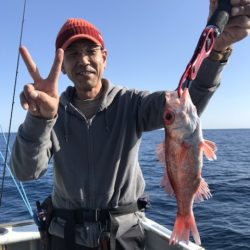 たいし丸 釣果