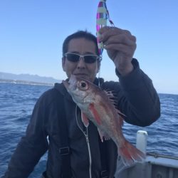 たいし丸 釣果
