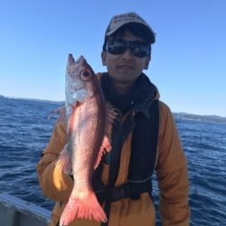 たいし丸 釣果