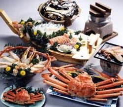 シーモンキー 釣果