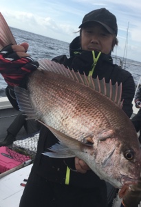 シーモンキー 釣果