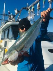 シーモンキー 釣果