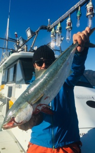 シーモンキー 釣果